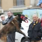 Intervención de perro adiestrado para tareas de salvamento