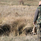 La temporada de caza menor levanta el domingo el telón en la provincia. RAMIRO
