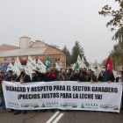 Imagen de la manifestación de ganaderos de leche por los precios en producción. MARIAM A. MONTESINOS