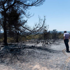 Un vecino observa el paisaje calcinado por el fuego. GASCÓN