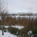 Charcas heladas y nieve cubriendo los campos impiden el ejercicio de la caza en la provincia.
