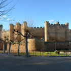 Castillo de Valencia de Don Juan. DL