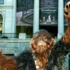 El «wookie» Chewbacca es uno de los personajes que regresan a la nueva entrega de la saga