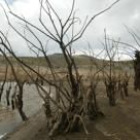 Un imagen del pantano de Barrios de Luna, a finales de agosto, en unos niveles muy bajos