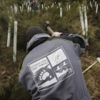 Tras concluir los trabajos preparatorios y de planificación comenzarán las plantaciones en primavera. JESÚS F. SALVADORES