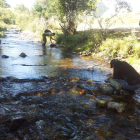 Agentes medioambientales recogen muestras.