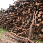 Hay en Castilla y León 1.500 empresas dedicadas a la madera. DL