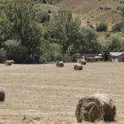 Forraje y hierba henificada y empaquetada en rollos, en un área del valle de la Tercia. MARCIANO PÉREZ