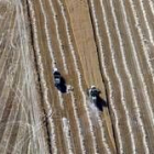 Vista aérea de las tareas de cosecha en un paraje de la tierra de Campos