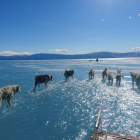Imagen de deshielo en el Ártico. STEFFEN M. OLSEN/INSTITUTO METEO