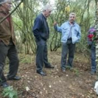 El lugar en que se encuentra una de las fosas, cerca de la carretera de Salce