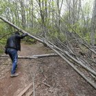 Los destrozos están en una senda de 0,9 kilómetros.