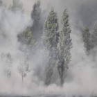 Una imagen del incendio forestal registrado en Quintanilla del Monte el pasado miércoles.