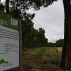 Junta y Estado han invertido más de 15 millones de euros en la restauración ambiental de la zona. DL