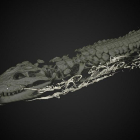 Tomografía de la momia de cocodrilo con pequeños cuerpos en su vientre.