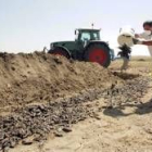 Agricultores apilando los topillos muertos en las orillas de una cuneta