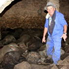 El propietario de la granja, Ramon Agustí, junto a los animales fallecidos en el ataque de la semana pasada.