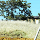 Las parcelas abandonadas, con mucha vegetación seca, hacen temer de nuevo los incendios, favorecidos por las altas temperaturas. J. NOTARIO