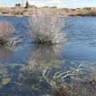 La recuperación de la laguna de Villadangos, situada a 500 metros de la localidad, estará concluida