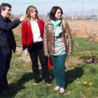El director del colegio de Villaobispo y las concejalas Sánchez y Pastor, junto a los frutales.