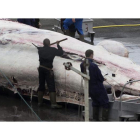 GREENPEACE