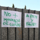Pintadas en el solar.
