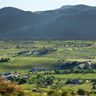 Imagen de un paisaje de viñedos en el Bierzo. CRDO