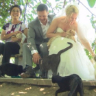 Dominic Husson y Louise Veronneau, junto a la dueña del refugio, Lynea Lattanzio, y algunos gatos.