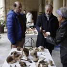 La exposición es un espacio de intercambio de conocimientos sobre las setas. FERNANDO OTERO