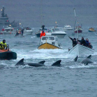 Habitantes de las Islas Faroe participan en la tradicional caza de ballenas cerca de la capital, Torshavn.