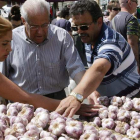 Los clientes seleccionan las mejores ristras, con más de 20 cabezas de ajo, para llevárselas a sus casas.