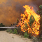 El incendio arrasó 6.000 hectáreas en el término municipal de Castrocontrigo.