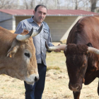 José Gordón, en la finca de Jiménez de Jamuz en la que prepara a los animales para el sacrificio durante un periodo que llega hasta dos años.