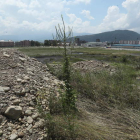 Zona donde supuestamente se crearía el bosque urbano de Ponferrada. L. DE LA MATA