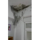 Moho en la sala de profesores.