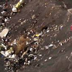 Imágenes de los restos del avión de Germanwings estrellado en los Alpes
