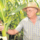 Josep Pamiés es un famoso agricultor