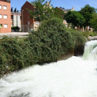 Una imagen del Canal Bajo del Bierzo, en la zona urbana ponferradina de Cuatrovientos.