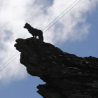 Escultura a un lobo en el alto de la montaña en Buiza de Gordón. JESÚS F. SALVADORES