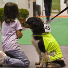 Una niña juega con un perro abandonado.