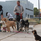 Un grupo de perros pasean atados en una zona en la que tradicionalmente han ido sueltos. ANA F. BARREDO