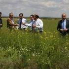 Directivos de Acciona y Repsol, representantes del Gobierno y Ucogal, en un cultivo de colza