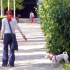 Imagen de archivo de una joven de paseo con su perro