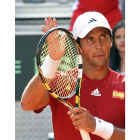 Verdasco celebra su victoria en el último punto de la eliminatoria ante Ucrania.