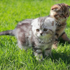 Foto ejemplo que forma parte de las imágenes que suelen tener más 'me gusta' en Facebook.