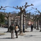 La zona del entorno del museo será sometida a modificaciones