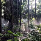La selva en el Jardín Botánico Tropical Fairchild situado en Coral Gables. ANA MENGOTTI