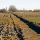 Primeras actuaciones del proyecto realizadas en Santa María de la Isla. FERNANDO OTERO