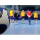 El Reale Ademar volverá a disputar la próxima temporada la máxima competición continental a pesar de sus problemas económicos.