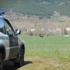 Imagen de la zona de pasto de la finca de Boñar.